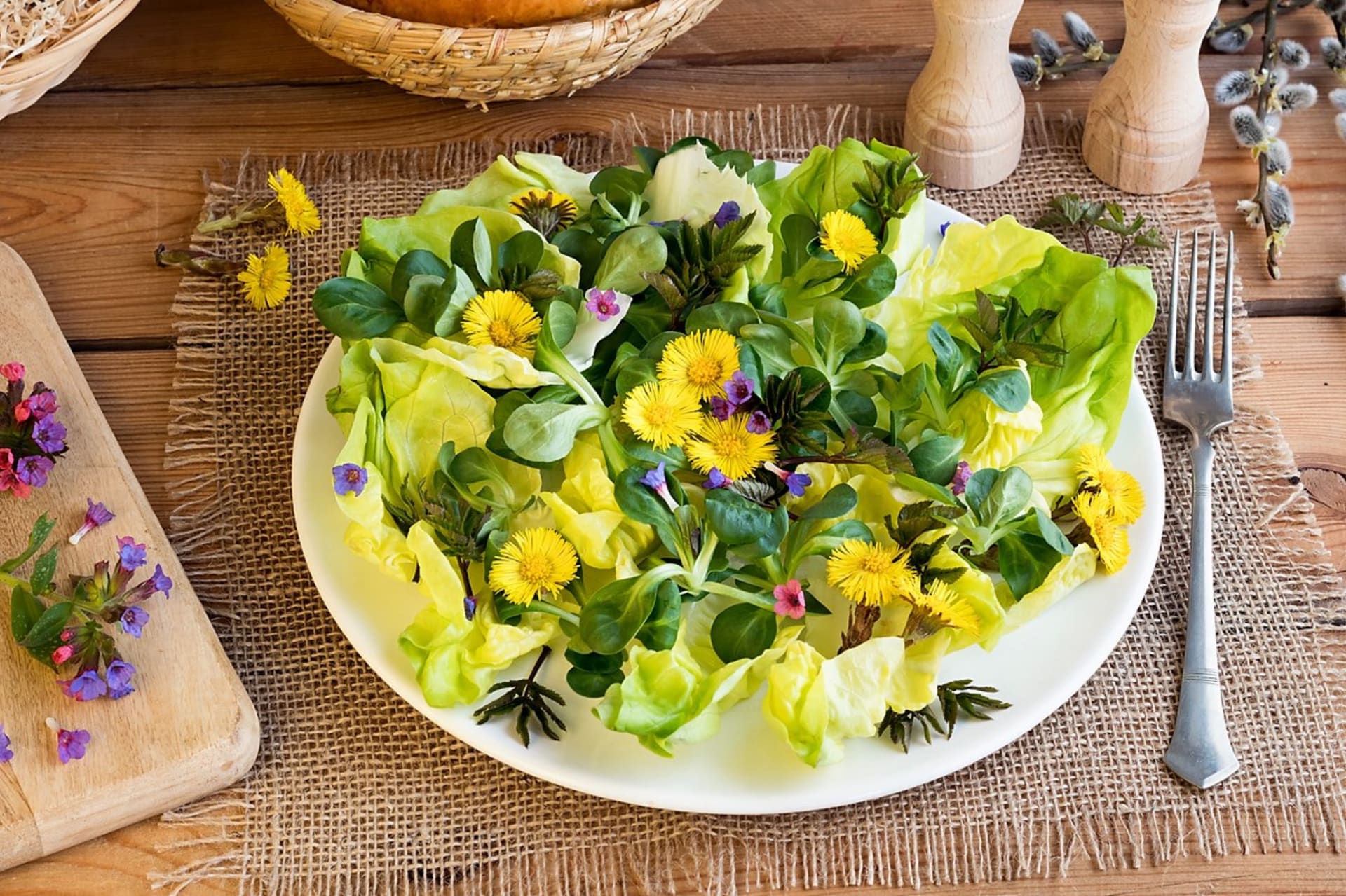 Pľúcnik sa môže na jar používať ako jedlá bylina. Čerstvá kvitnúca stonka sa môže v malom množstve použiť do šalátov.